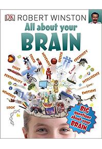 Copertă produs All About Your Brain (Big Questions)