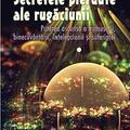 Copertă produs Secretele pierdute ale rugăciunii - gallery small 