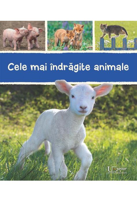 Copertă produs Cele mai &icirc;ndrăgite animale