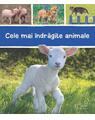 Copertă produs Cele mai &icirc;ndrăgite animale - thumb 1