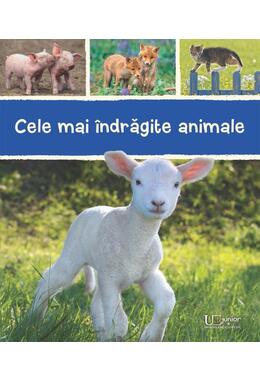 Copertă produs Cele mai &icirc;ndrăgite animale