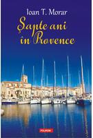 Şapte ani &icirc;n Provence