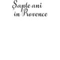 Copertă produs Şapte ani &icirc;n Provence - gallery small 