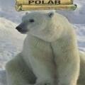 Copertă produs Fram, ursul polar - gallery small 
