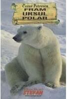 Imagine produs Fram, ursul polar
