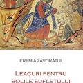 Copertă produs Leacuri pentru bolile sufletului - gallery small 