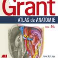Copertă produs Grant. Atlas de anatomie (Ediția a XIV-a) - gallery small 