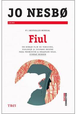 Copertă produs Fiul