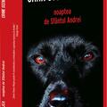 Copertă produs Noaptea de Sf&acirc;ntul Andrei - gallery small 