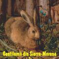 Copertă produs Gentilomii din Sierra-Morena. Iepurele bunicului - gallery small 