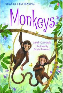 Copertă produs Monkeys