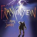 Copertă produs Frankenstein - gallery small 