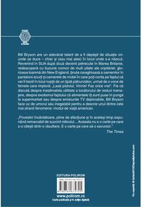 Copertă produs Însemnări dintr-o țară mare. Visul american văzut de aproape