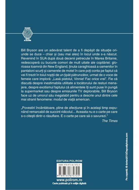 Copertă produs Însemnări dintr-o țară mare. Visul american văzut de aproape - gallery big 2