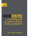 Copertă produs Ce este o experiență la limita dintre viață și moarte - thumb 1