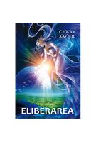 Imagine produs Eliberarea