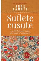 Copertă produs Suflete cusute