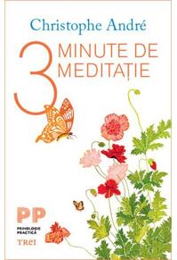 Copertă produs 3 Minute de meditație