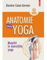Copertă produs Anatomie pentru yoga - thumb 1