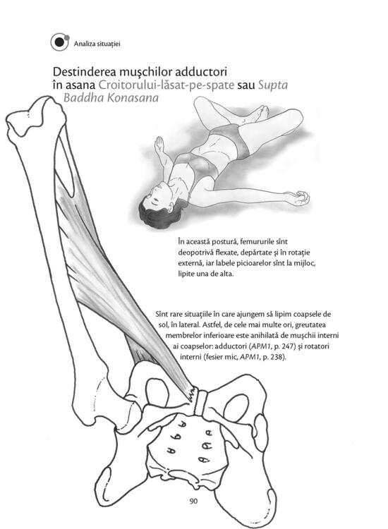 Copertă produs Anatomie pentru yoga - gallery big 7