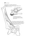 Copertă produs Anatomie pentru yoga - thumb 7