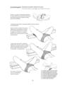 Copertă produs Anatomie pentru yoga - thumb 9