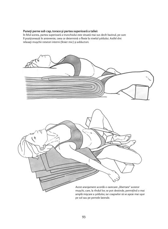Copertă produs Anatomie pentru yoga - gallery big 10