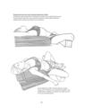 Copertă produs Anatomie pentru yoga - thumb 10