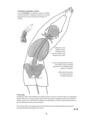 Copertă produs Anatomie pentru yoga - thumb 12