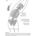Copertă produs Anatomie pentru yoga - gallery small 