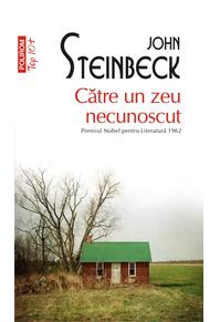 Copertă produs Către un zeu necunoscut (Top 10+)