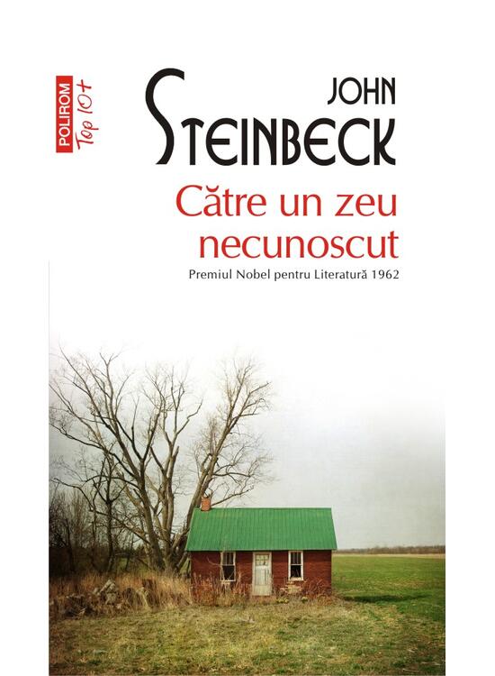 Copertă produs Către un zeu necunoscut (Top 10+) - gallery big 1