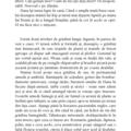 Copertă produs Pacientul englez - gallery small 