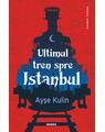Copertă produs Ultimul tren spre Istanbul - thumb 1