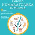 Copertă produs Sarcina - Numaratoarea inversă - gallery small 