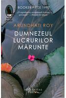 Copertă produs Dumnezeul lucrurilor mărunte