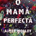 Copertă produs O mama perfectă - gallery small 