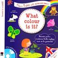 Copertă produs I learn English with Peter and Emily! What color is it! - gallery small 
