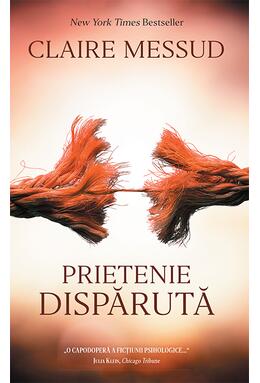 Copertă produs Prietenie disparută