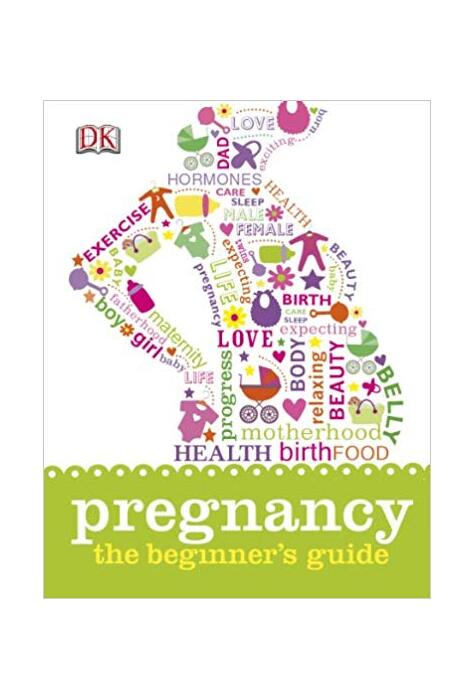 Copertă produs Pregnancy The Beginner's Guide