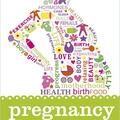 Copertă produs Pregnancy The Beginner's Guide - gallery small 