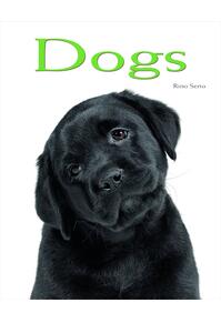 Copertă produs Dogs: Pocket Book