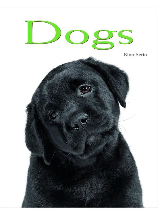 Copertă produs Dogs: Pocket Book - gallery big 1