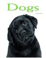 Copertă produs Dogs: Pocket Book - thumb 1