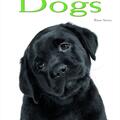 Copertă produs Dogs: Pocket Book - gallery small 