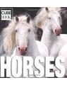 Copertă produs Horses (CubeBook) - thumb 1