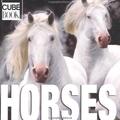 Copertă produs Horses (CubeBook) - gallery small 