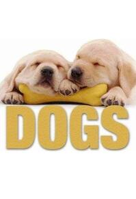 Copertă produs Dogs (CubeBook)