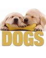 Copertă produs Dogs (CubeBook) - thumb 1