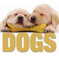 Copertă produs Dogs (CubeBook) - gallery small 